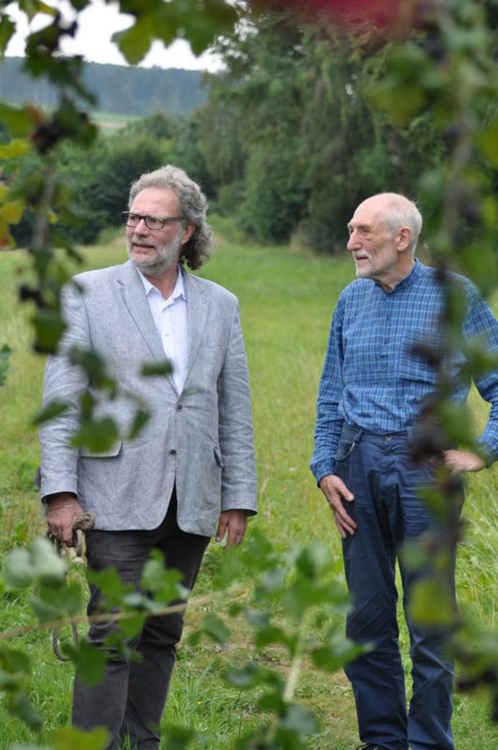 Streuobstwiese_Aerzen