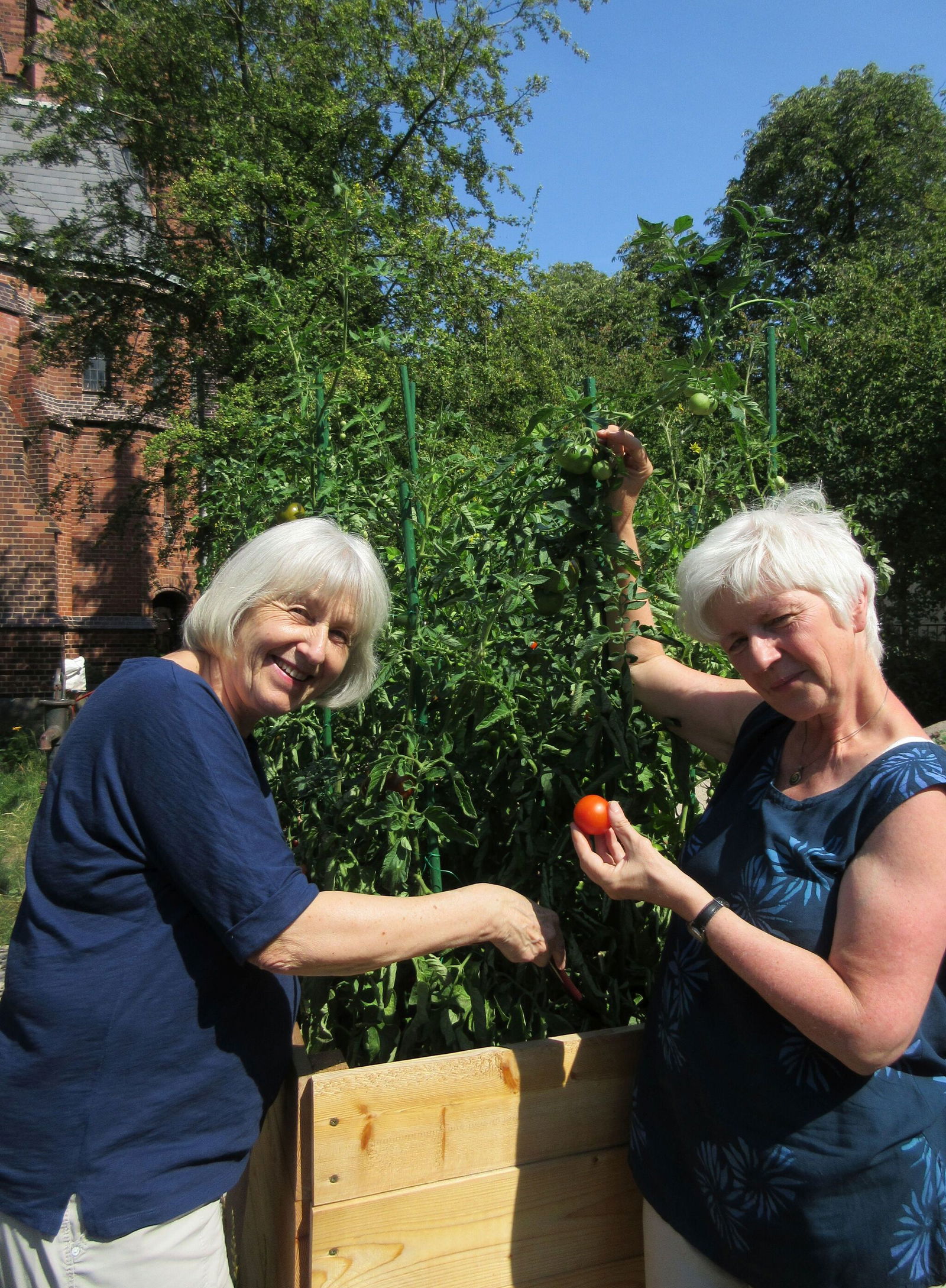 Urban Gardening_Dreifaltigkeitskirche