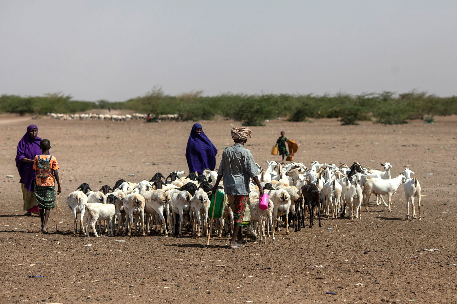 Dürre in Kenia_Diakonie Katastrophenhilfe