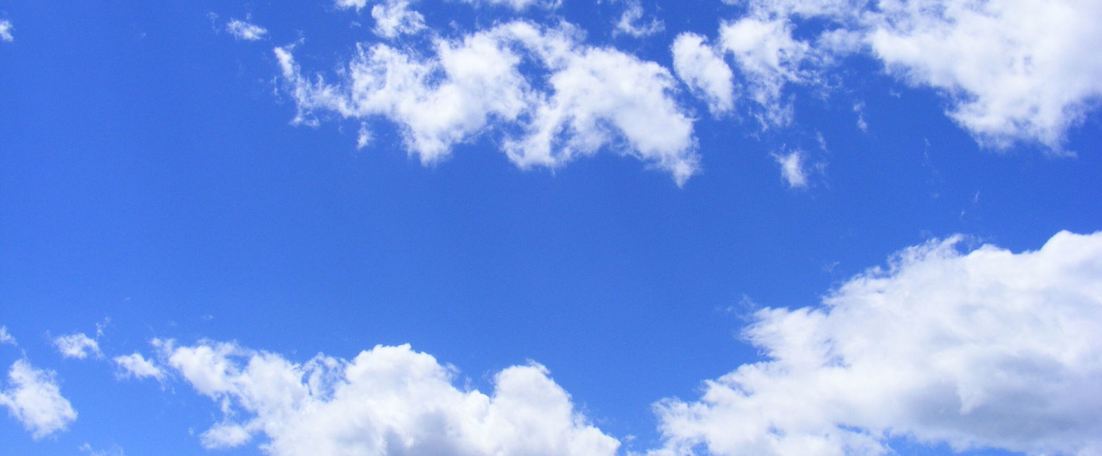 Eine Wolke von Zeugen und Zeuginnen spendet uns Kraft.