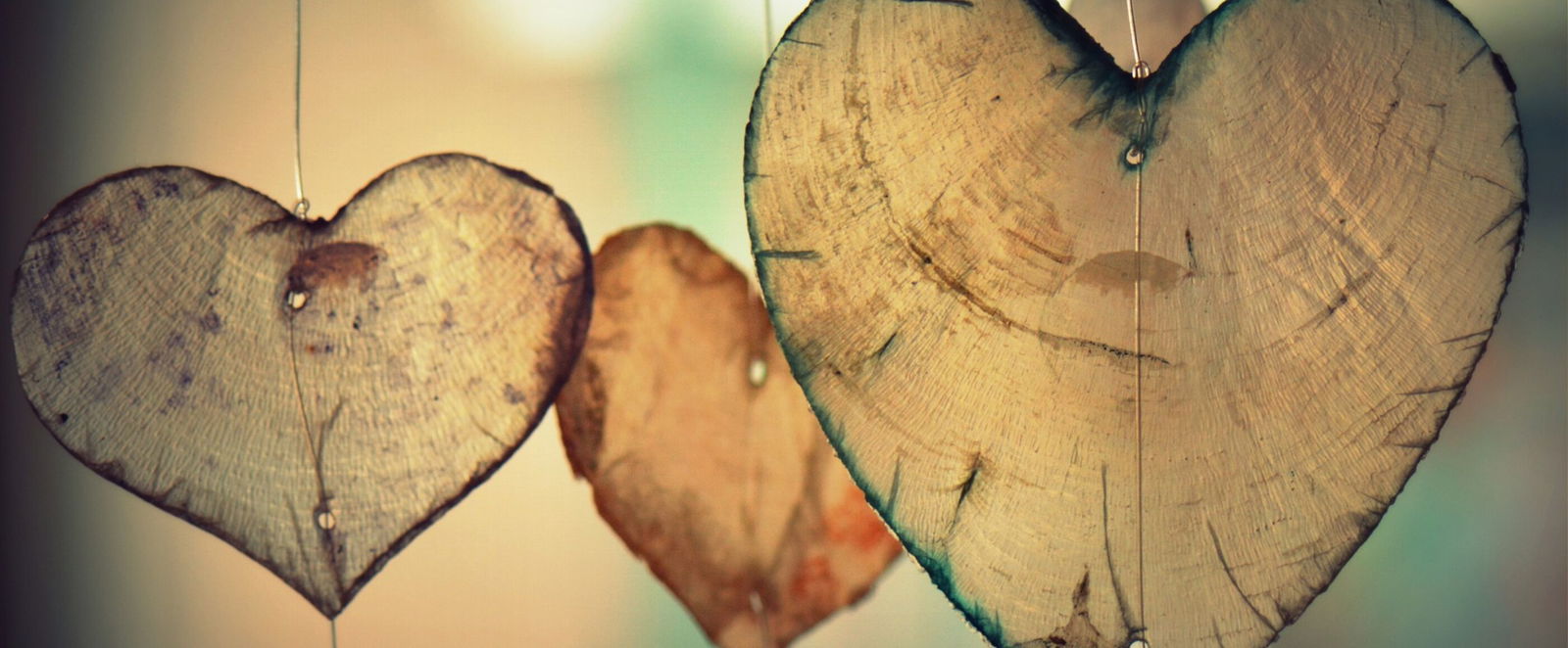 Der Valentinstag ist ein Anlass um zu sagen: Ach, Gott, bitte segne unsere Liebe!