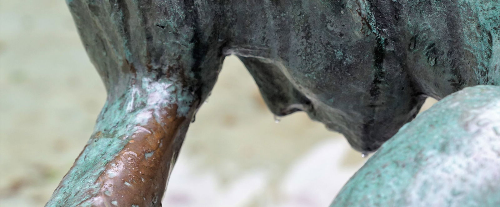 Es gibt Leid auf der Weltbühne, in unseren Wohnzimmern, das wir nicht erklären können.