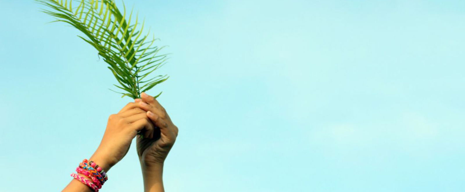 Zwei Hände halten einen Palmzweig in die Höhe
