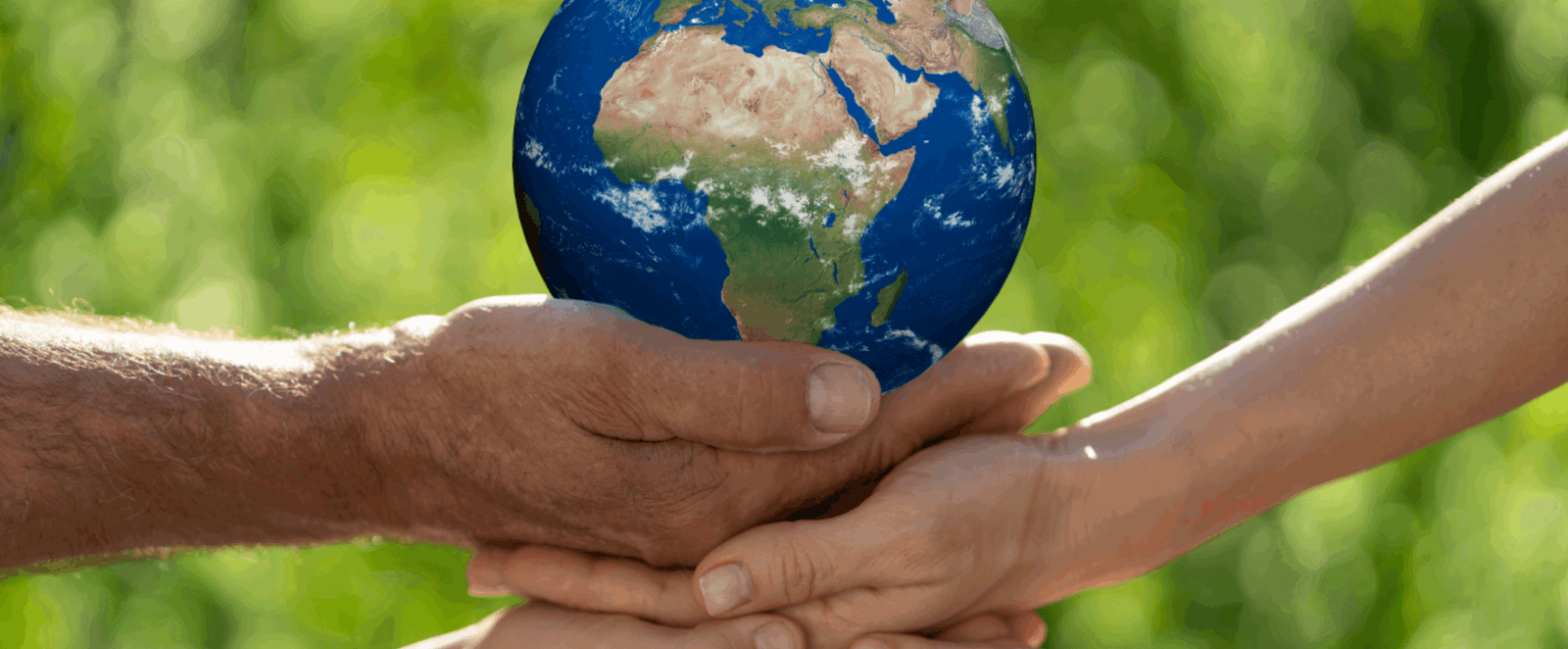 Mehrere Hände halten eine Miniatur des Planeten Erde.