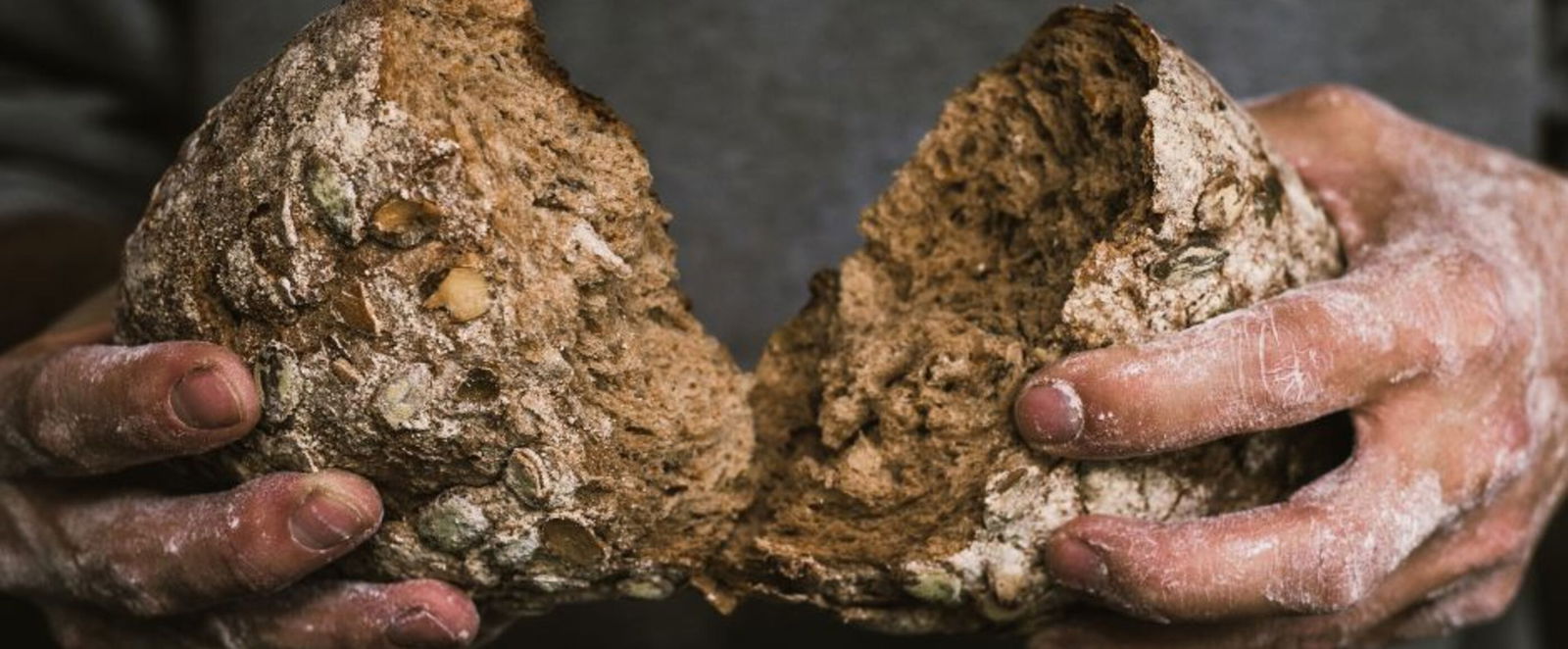 Zwei Hände, mit Mehl bestaubt, brechen ein dunkles Brot.