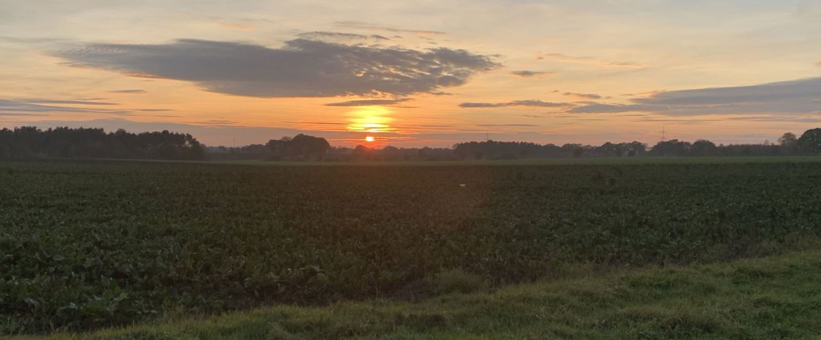 Die Sonne geht über einem Feld unter.