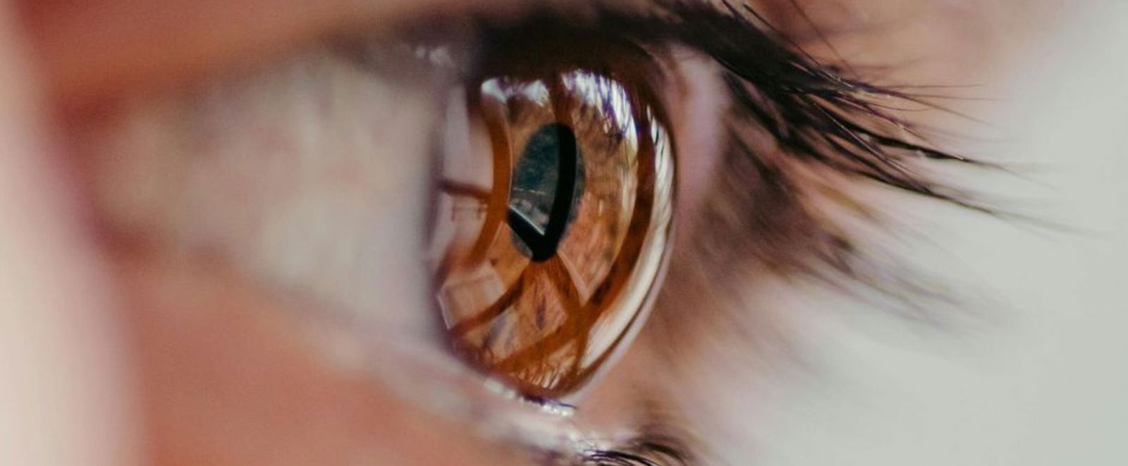 Nahaufnahme eines braunen Auges.