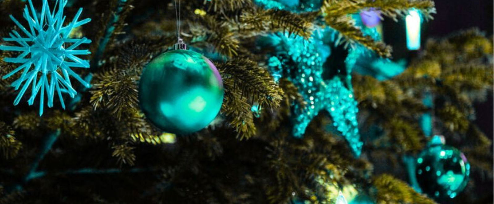 Ein türkis geschmückter Weihnachtsbaum.