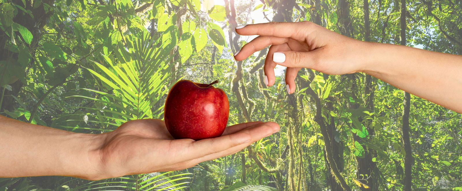 Eine Hand reicht einer anderen einen roten Apfel.