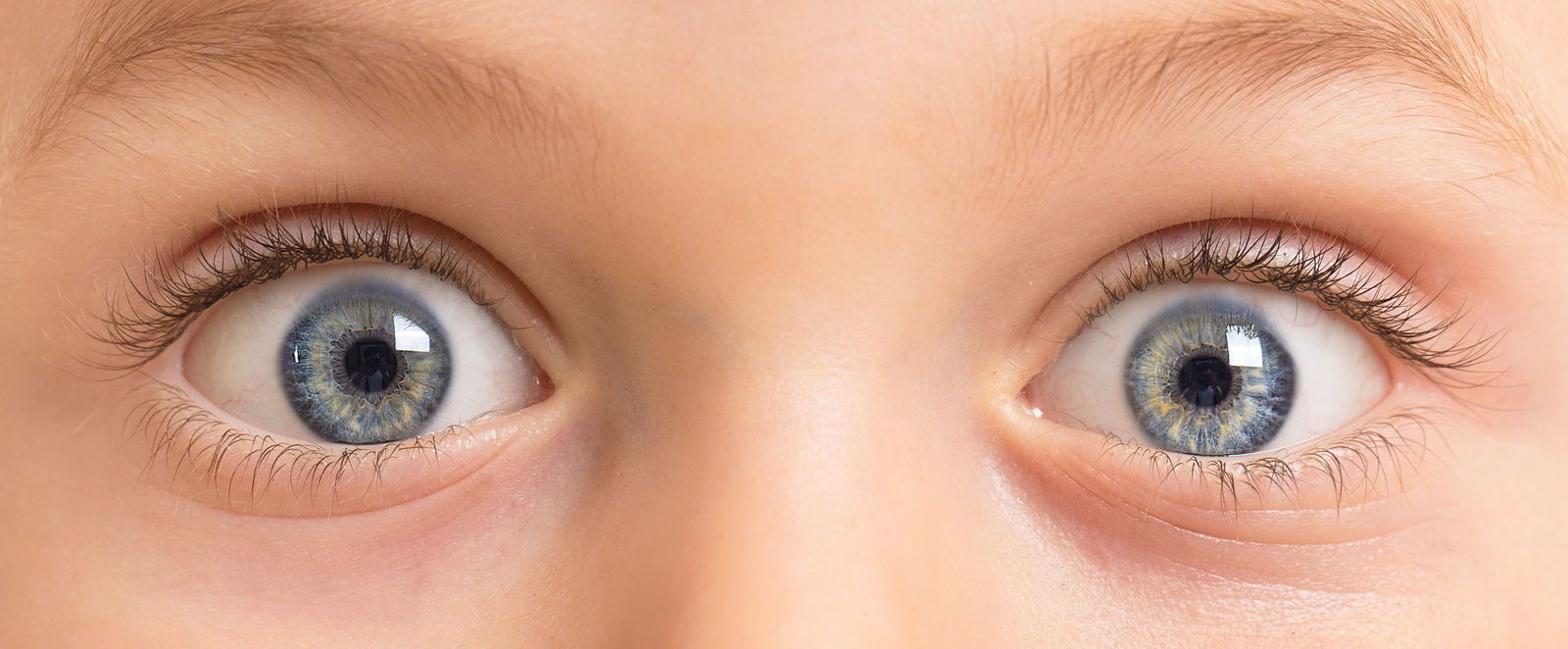 Blaue Augen schauen geradewegs in die Kamera.