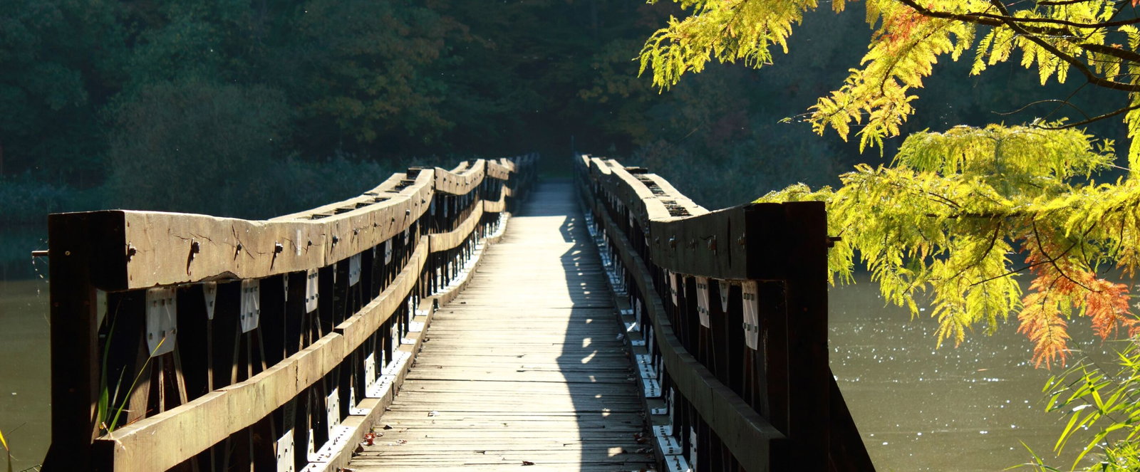 Brücke aus Holz