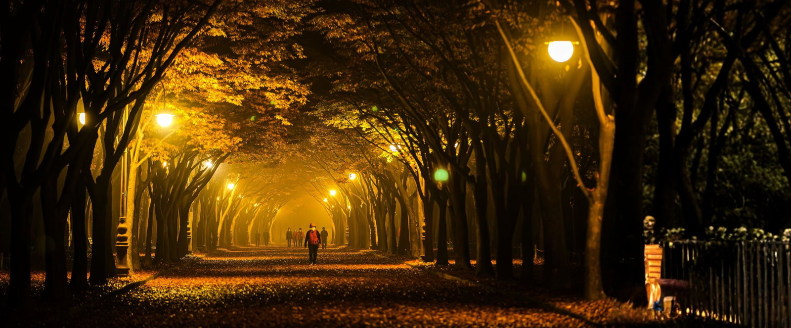 Ein Weg in einem dunklen Park. 