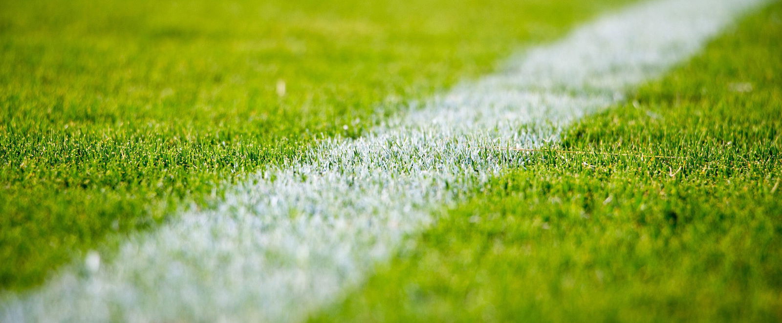Ausschnittsvergrößerung eines Fußballplatzes mit einer weißen Linie.