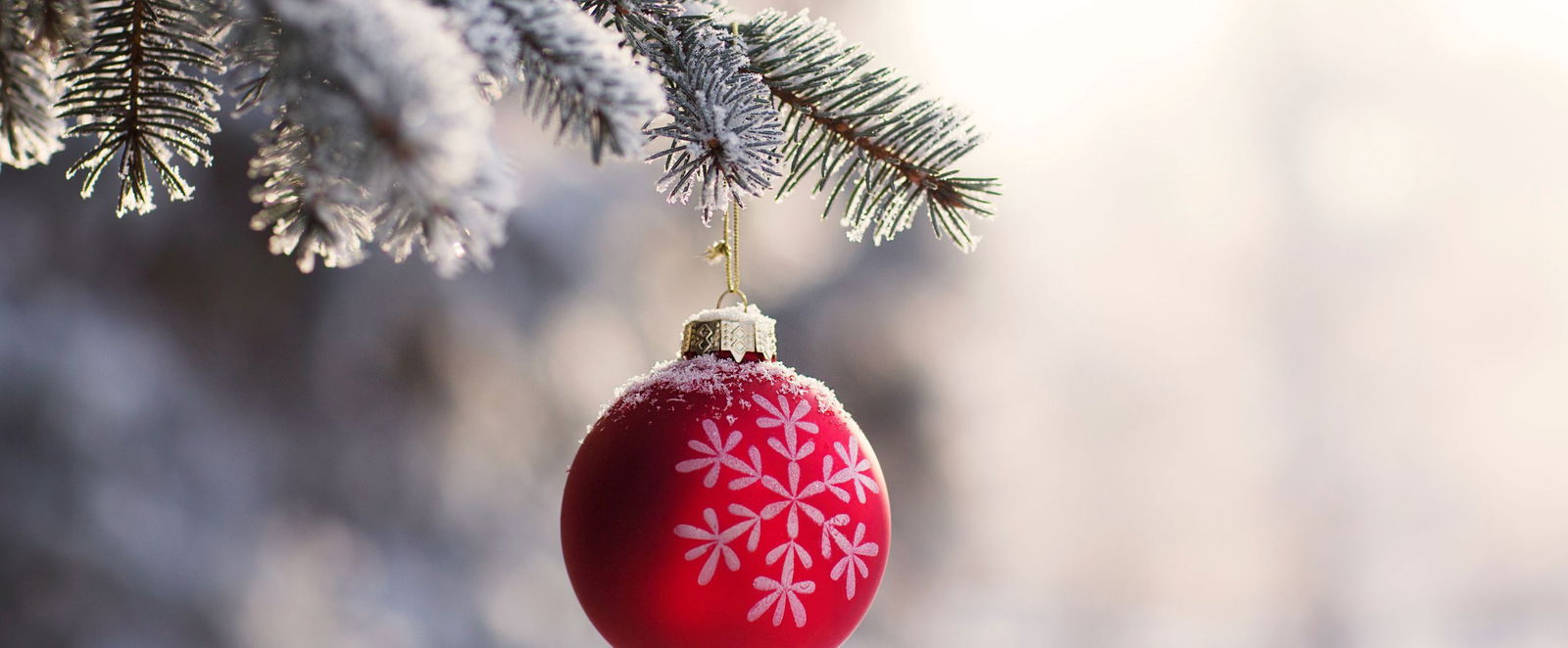 eine rote weihnachtskugel an einem schneebedeckten tannenzweig