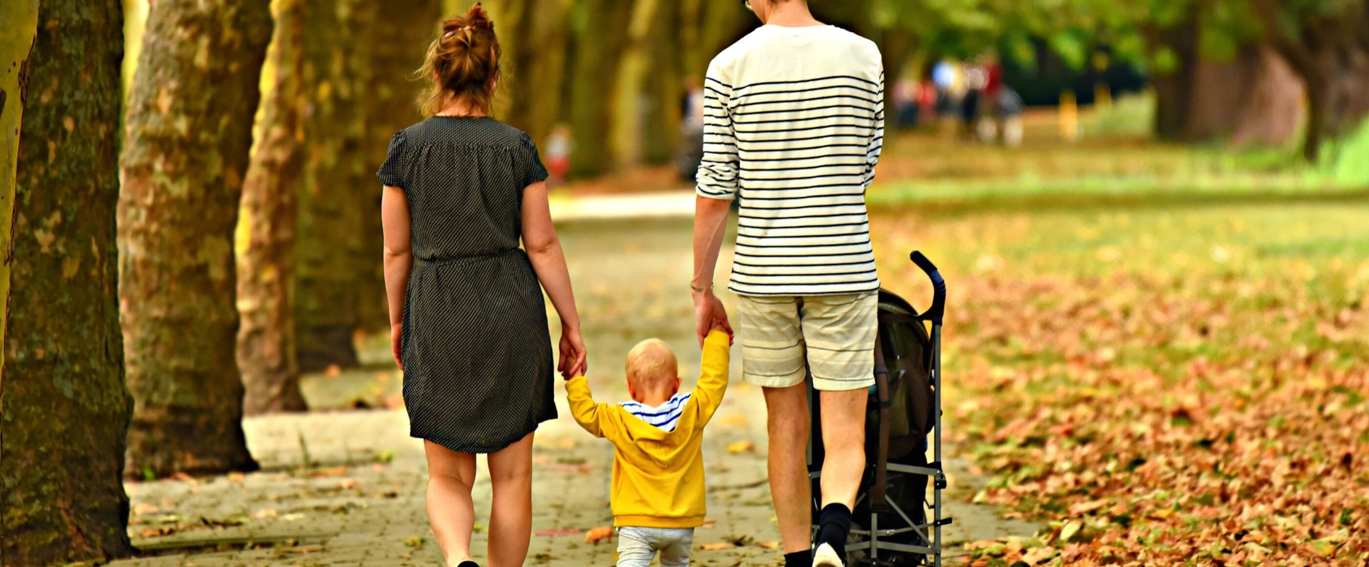 Eine Familie mit kleinem Kind von hinten bei einem Spaziergang in einem Park.