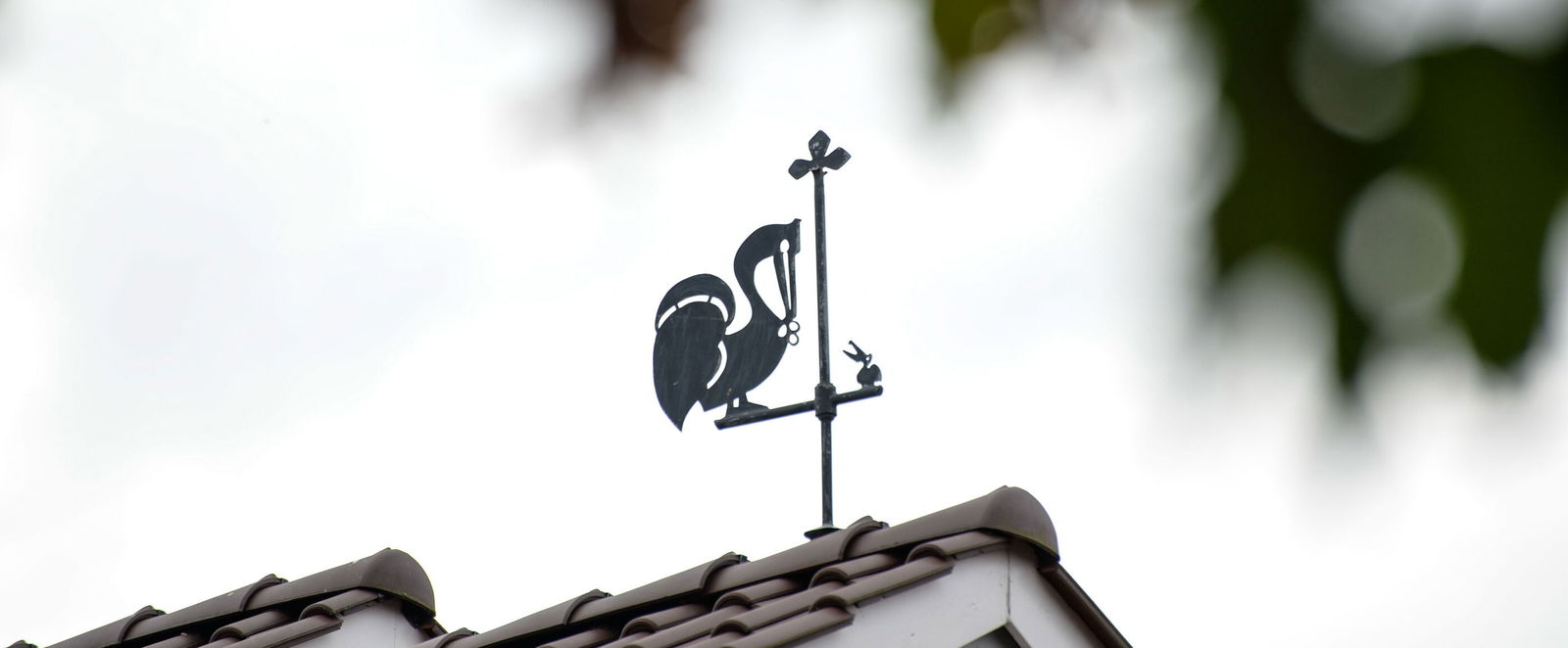 Ein Pelikan als Wetterfahne auf einem Hausdach.