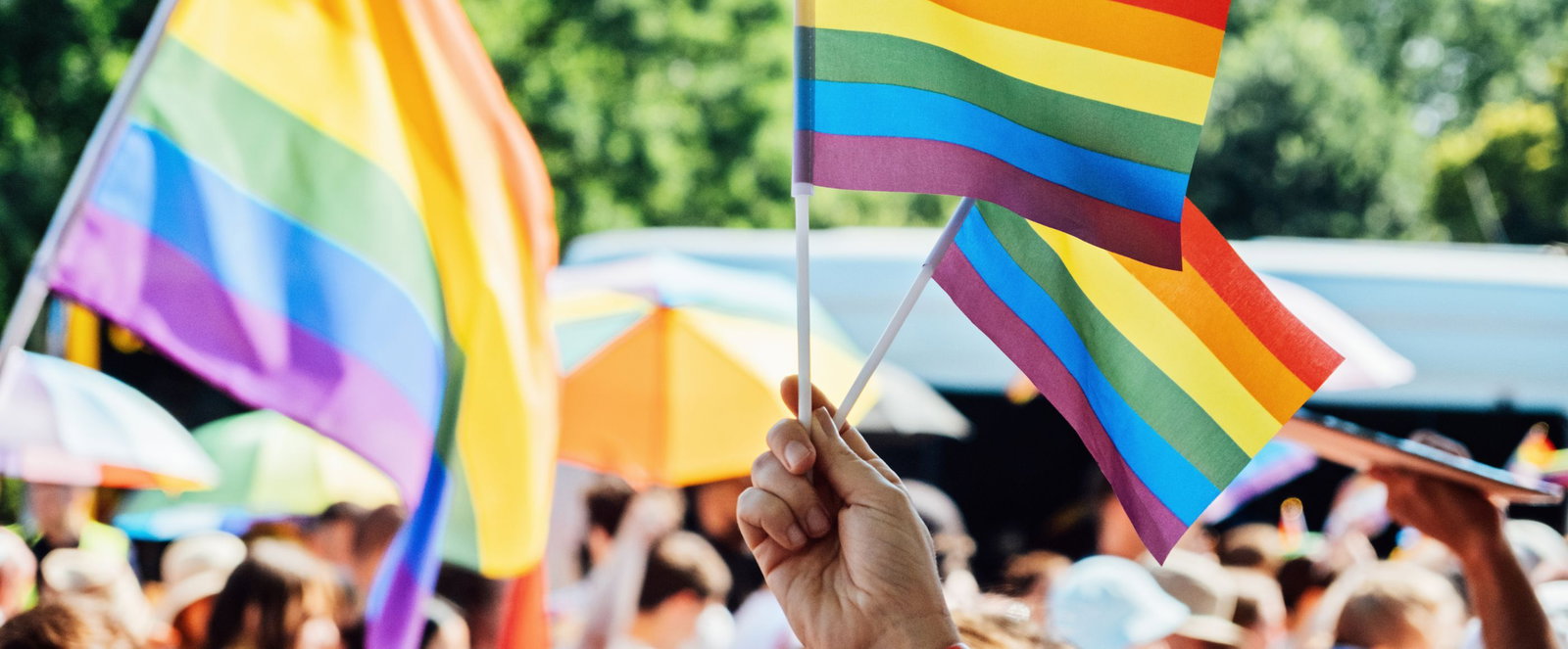 Menschen schwenken Regenbogenfahnen.