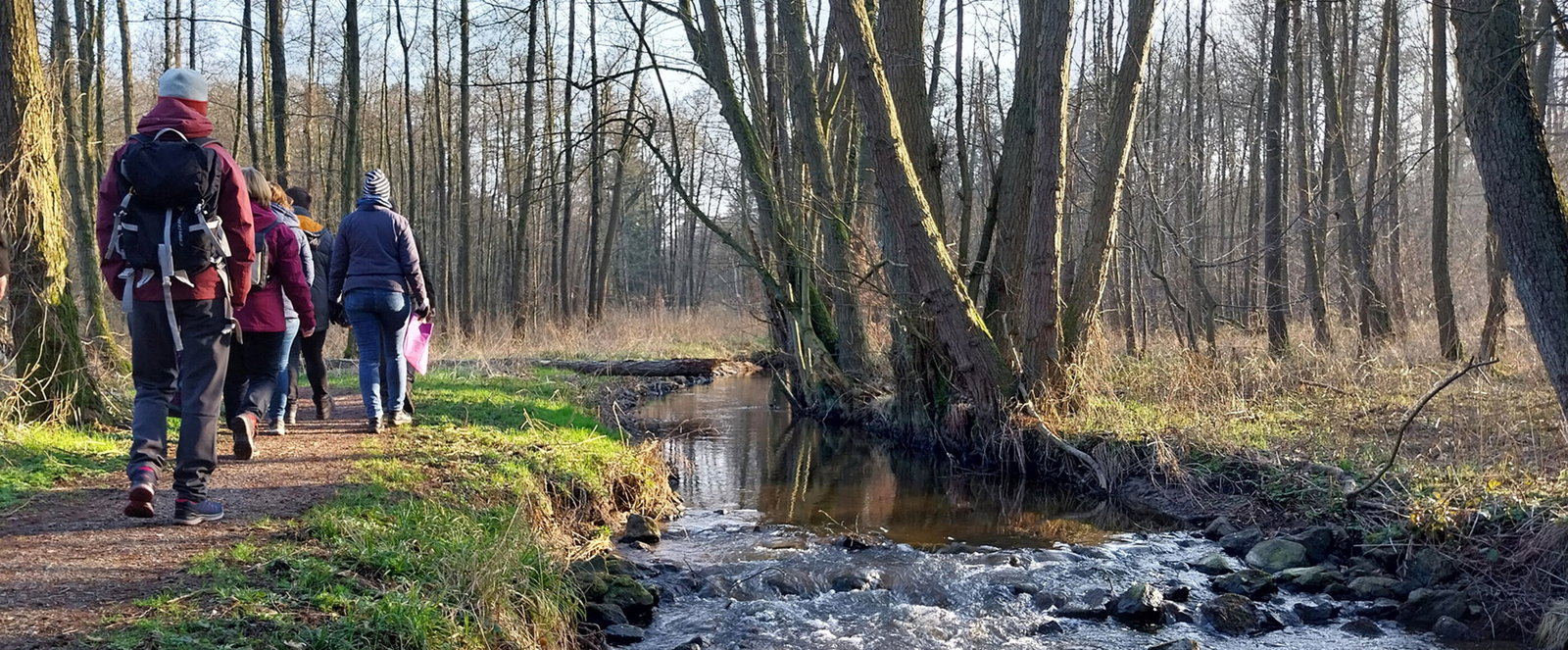 Menschen gehen an einem Bach entlang durch einen Wald.