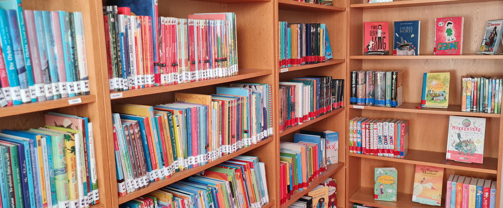 Bücherregale in einer Bücherei