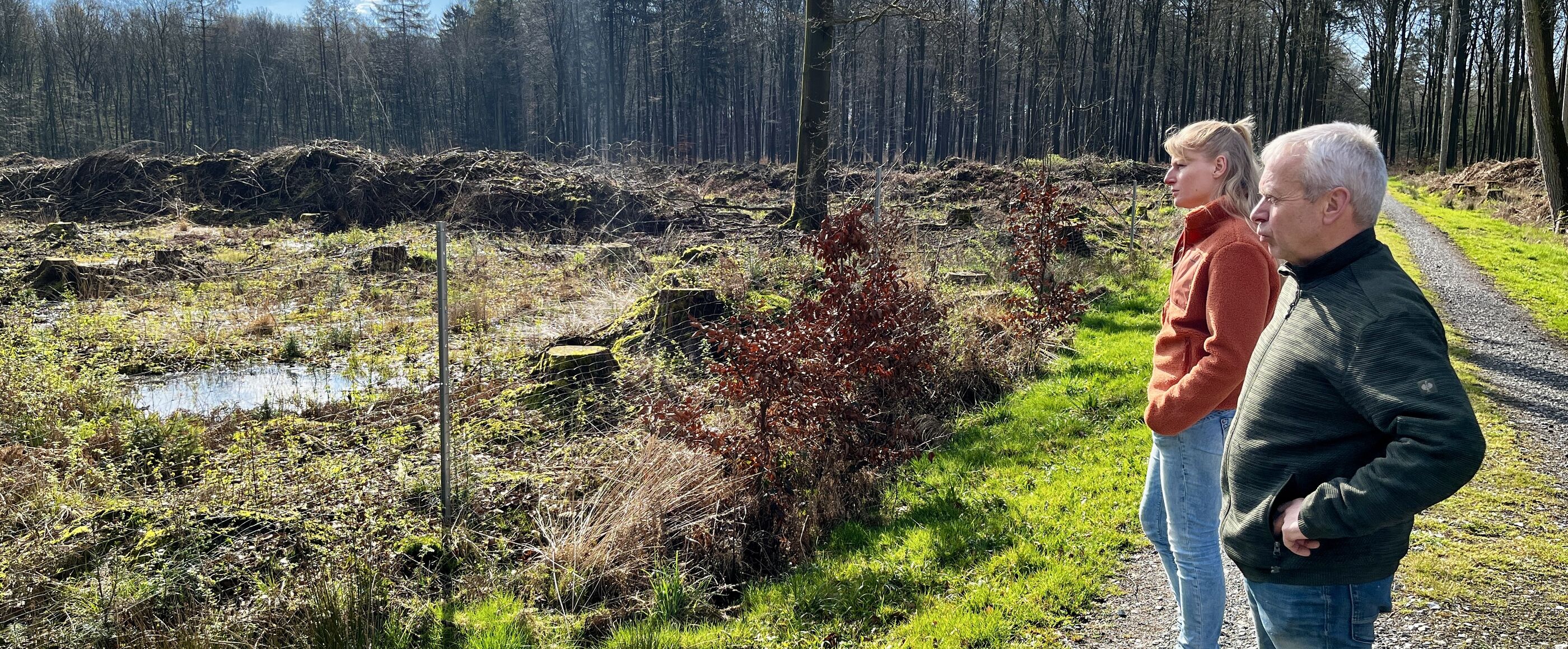 Eine männlich gelesene und eine weiblich gelesene Person stehen auf einem Waldweg und blicken auf eine Freifläche zur Aufforstung.