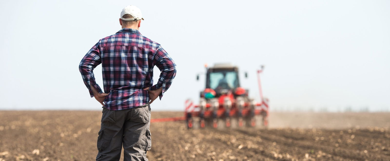 Ein Landwirt auf einem Feld. Im Hintergrund ist ein Mädrescher zu sehen.