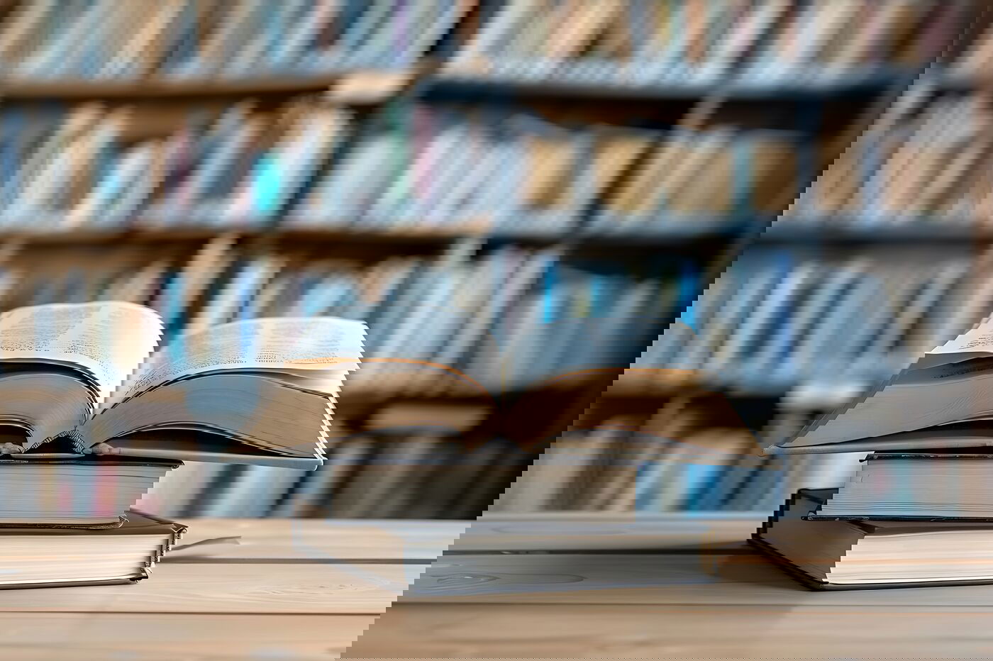 literaturportal-stock-adobe-com_salma