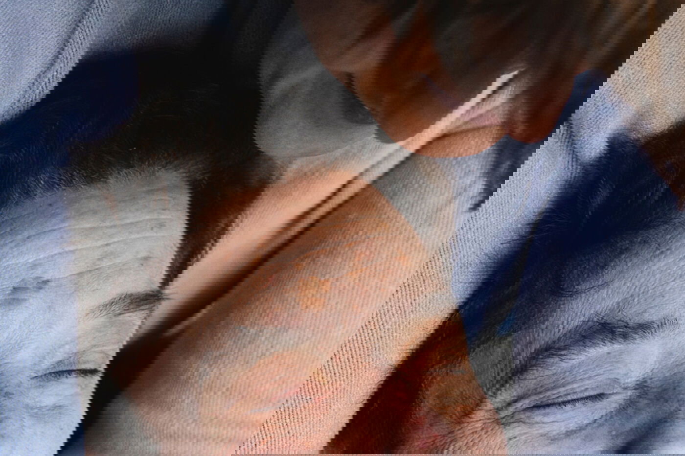 generationen_geschlechter