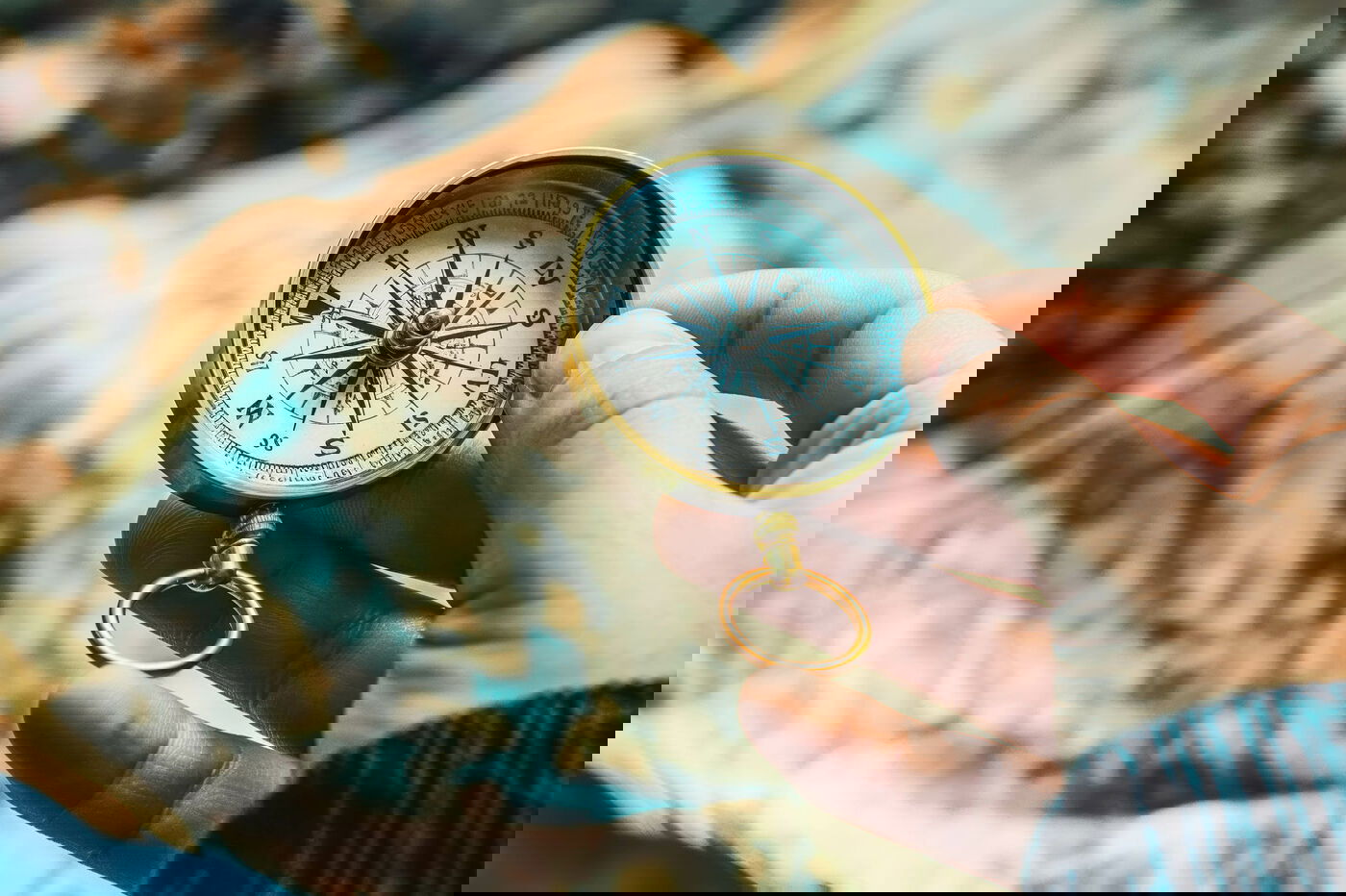 Team Organisationsberatung