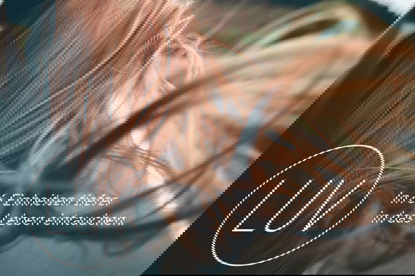 weiblich gelesene Person; wehende, hellbraune Haare; Fenster eines Autos; LUV-Logo; Slogan "In sechs Einheiten tiefer in das Leben eintauchen; verschwommene Landschaft; LUV-Workshop; Freiheit; Intensität; Ruhe; Reise, unterwegs; Suche; Straße