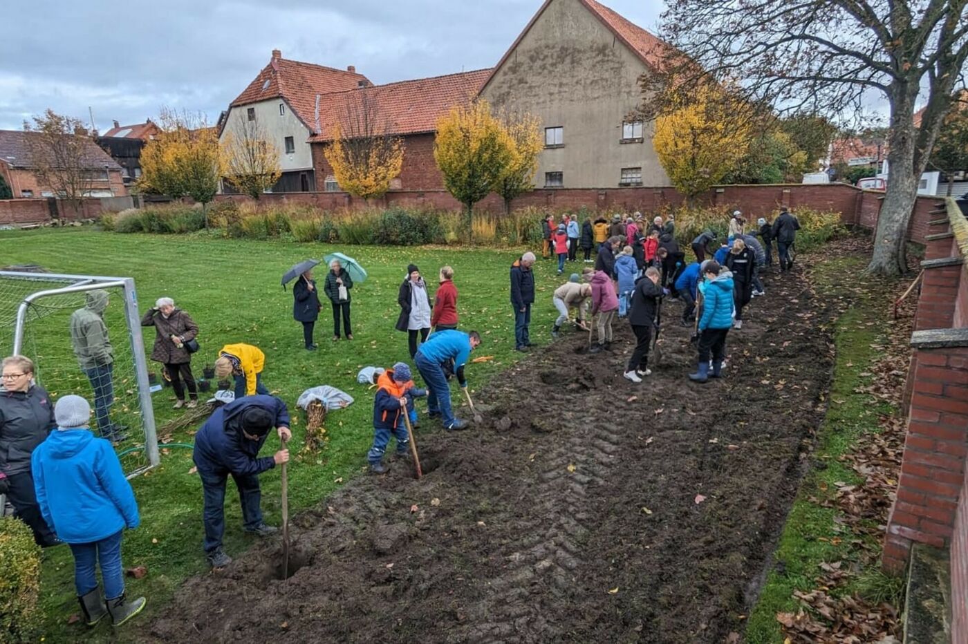 Beetneugestaltung mit heimischen Stauden und Gehölzen. )