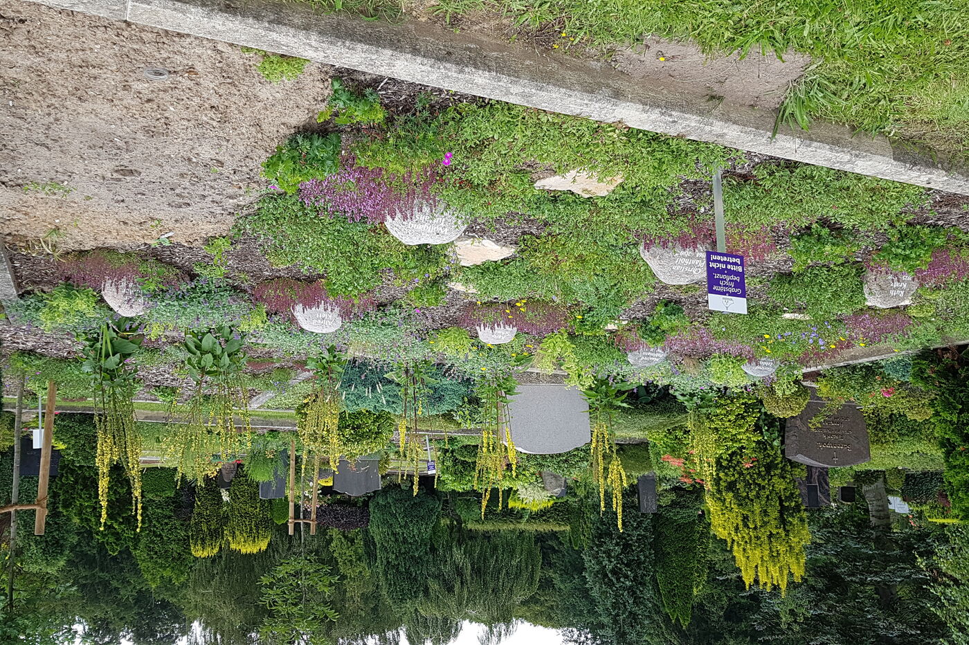 Beispiel 4 Alternative Friedhof Bad Rothenfelde Foto Astrid Lahmann