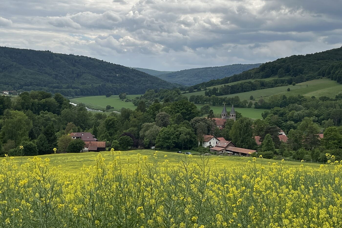 Theologie der biodiversität_Klaas Grensemann