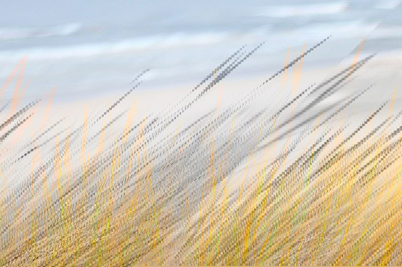 Wortmeldung Dezember Teaser