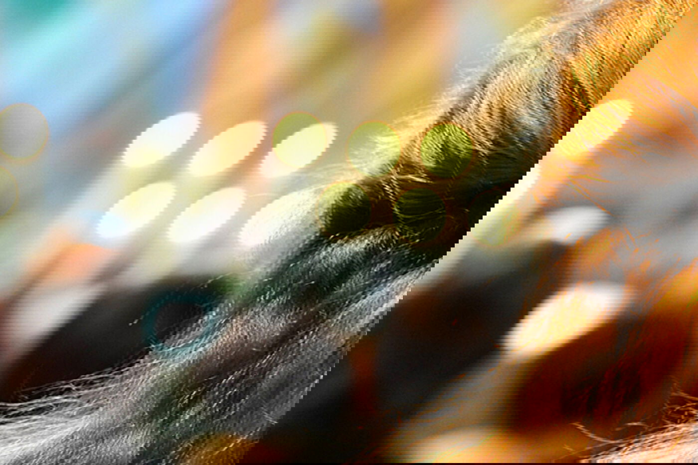 Gottesdienst in der Kirche des Henriettenstiftes Hannover