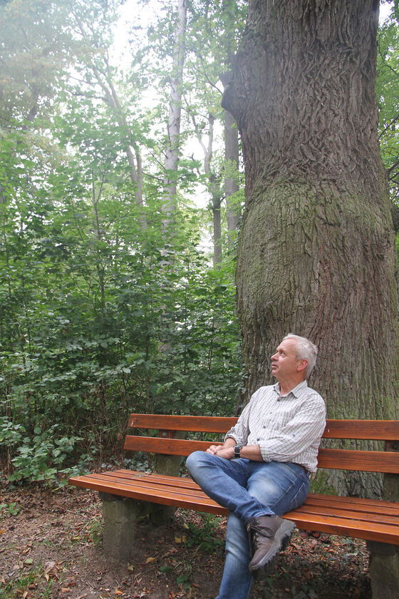 Ein Mann sitzt auf einer Bank und lässt den Blick schweifen.