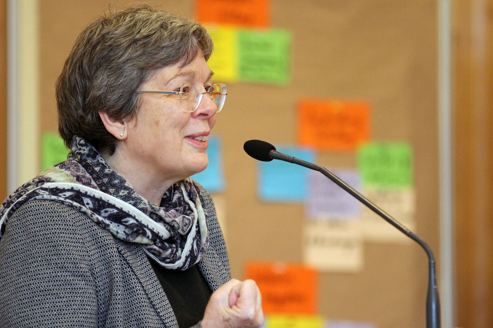 Eine ältere Frau steht an einem Mikrofon und spricht. Im Hintergrund steht eine Pinnwand mit bunten Karten.