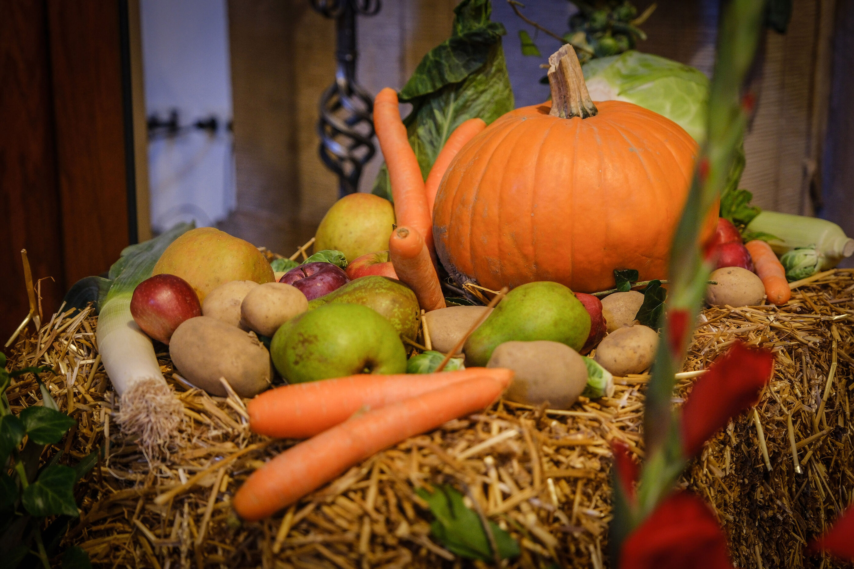 Ein dicker, orangener Kürbis liegt neben Karotten, Äpfeln, Birnen und anderen Feldfrüchten auf einem Strohnest.