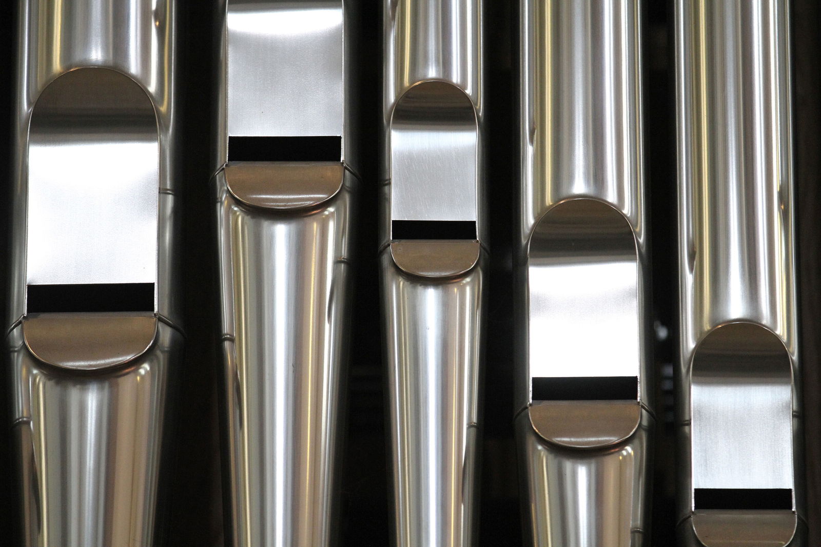 Detailaufnahme unterschiedlich großer Orgelpfeifen