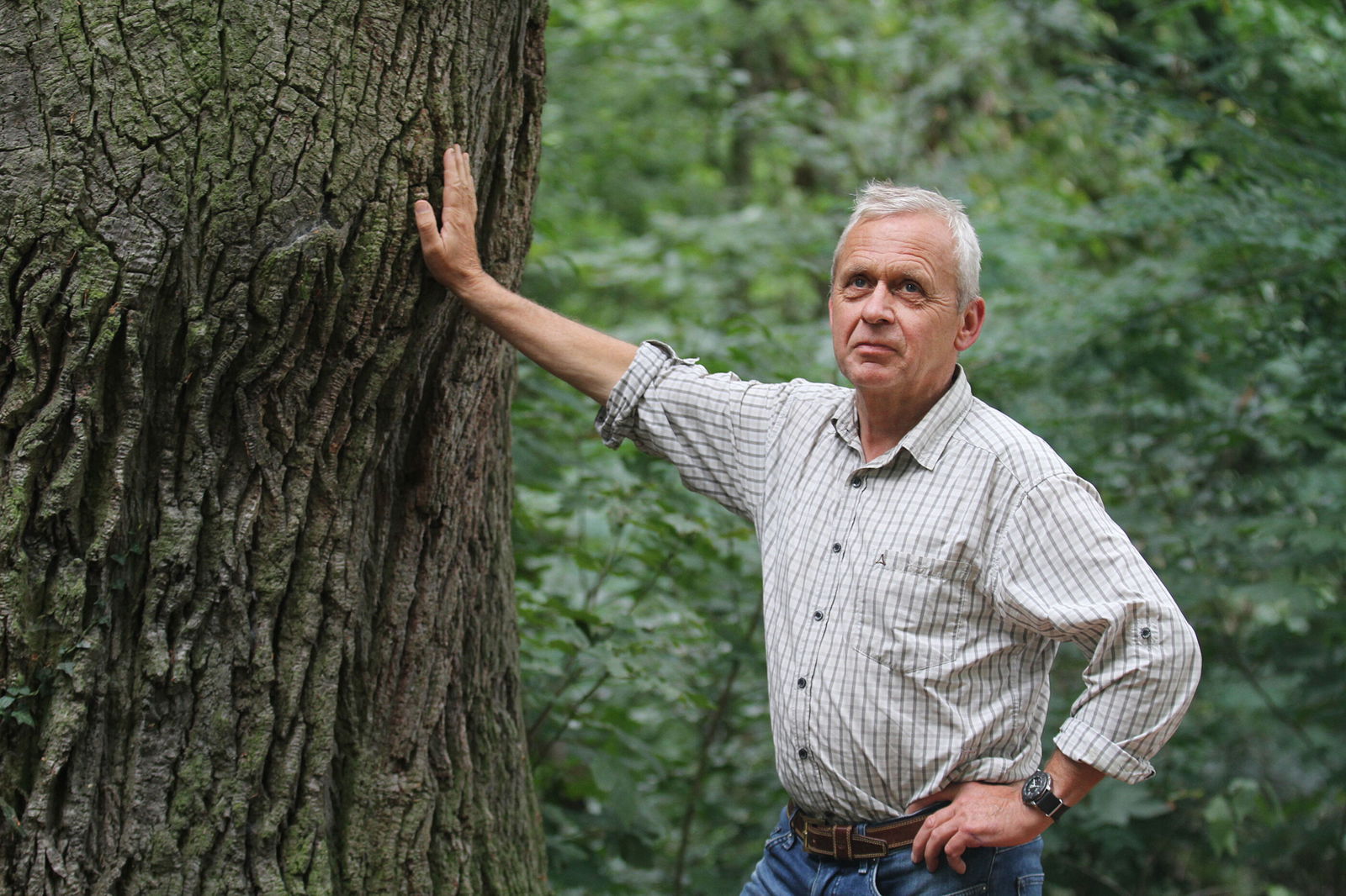 Ein Mann lehnt an einem alten Eichenstamm.