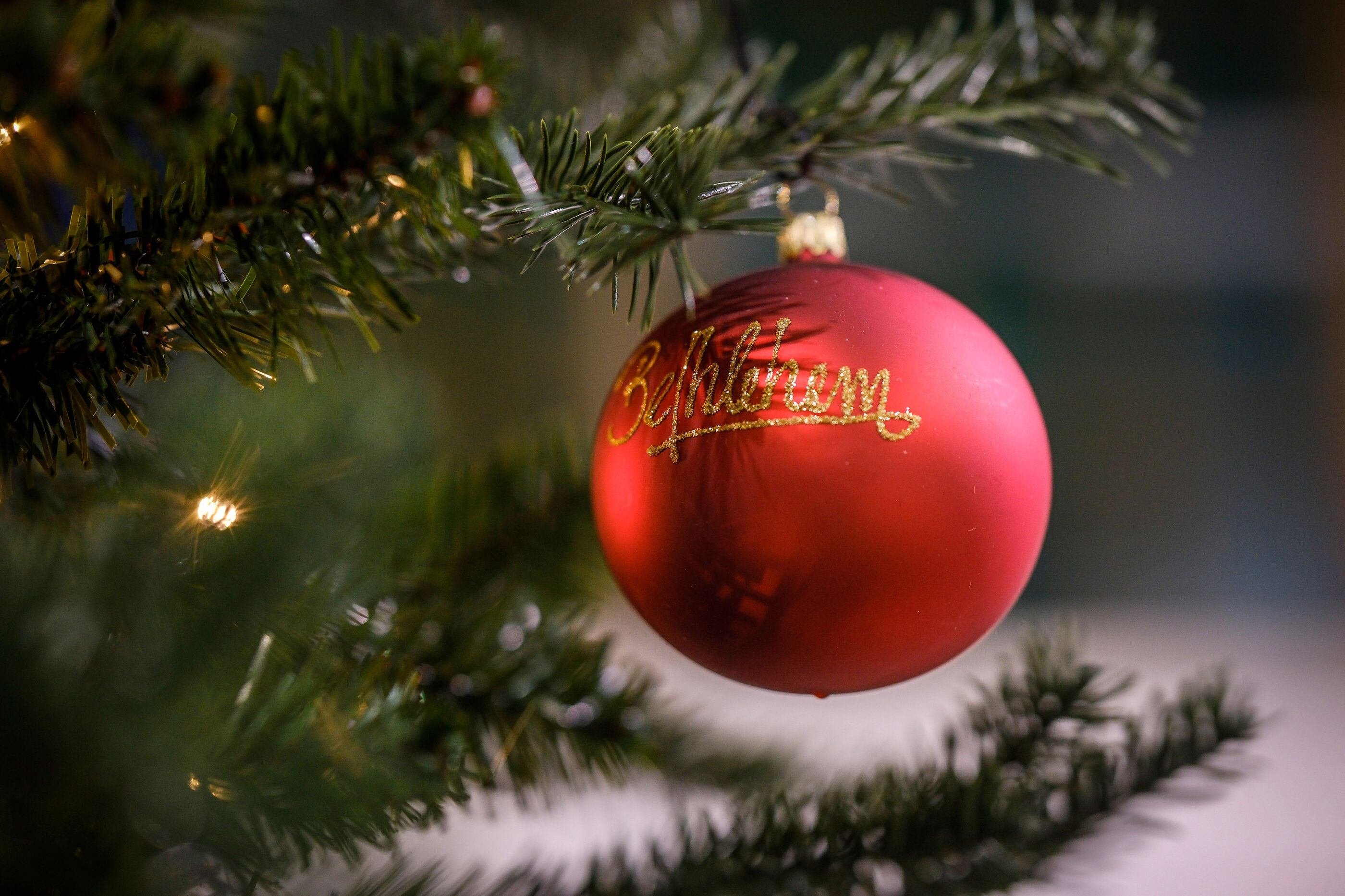 Eine rote Weihnachtskugel hängt am Weihnachtsbaum.