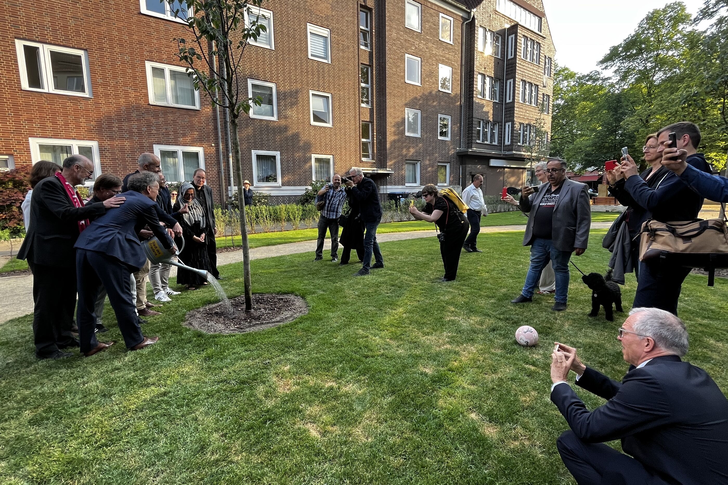 Auf einer Rasenfläche stehen einige Fotografen im Halbkreis, um ihnen gegenüber eine Gruppe an einem Baum zu fotografieren.