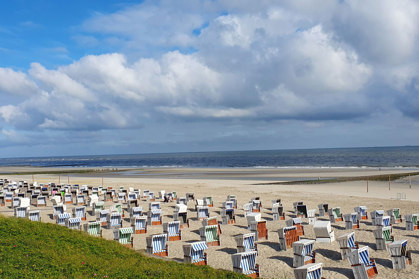 Strandkörbe an einem Strand neben Grünfläche und Meer.