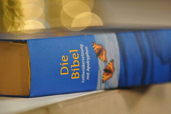 bibel_blau_schulze
