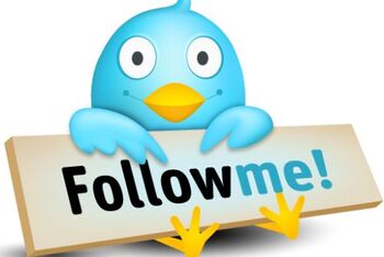 Auf der Suche nach Followern (Bild: flickr.com / Slava Murava Kiss / CC BY 4.0)