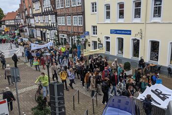 Auch in Celle zogen Hunderte Protestierende durch die Straßen. (Foto: Christine Warnecke)