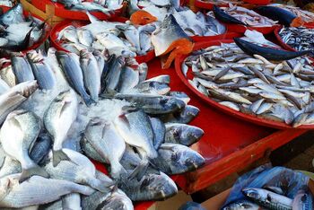 Die Aktion "Klimafasten" hat auch zum Nachdenken über nachhaltigen Fischfang angeregt. Foto: Aktion Klimafasten