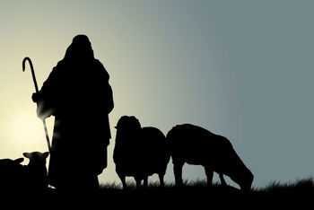 Die biblischen Texte dieses Sonntags deuten Jesus als Hirten und die Gemeinde als seine Herde.