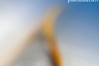 Losungen plattdüütsch