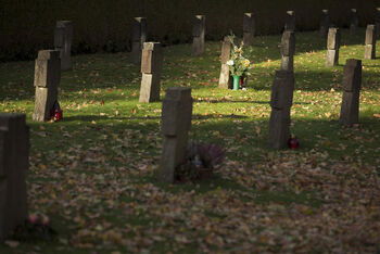 volkstrauertag_kriegsgraeberfeld