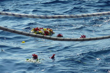 fluechtlinge_mittelmeer_blumen